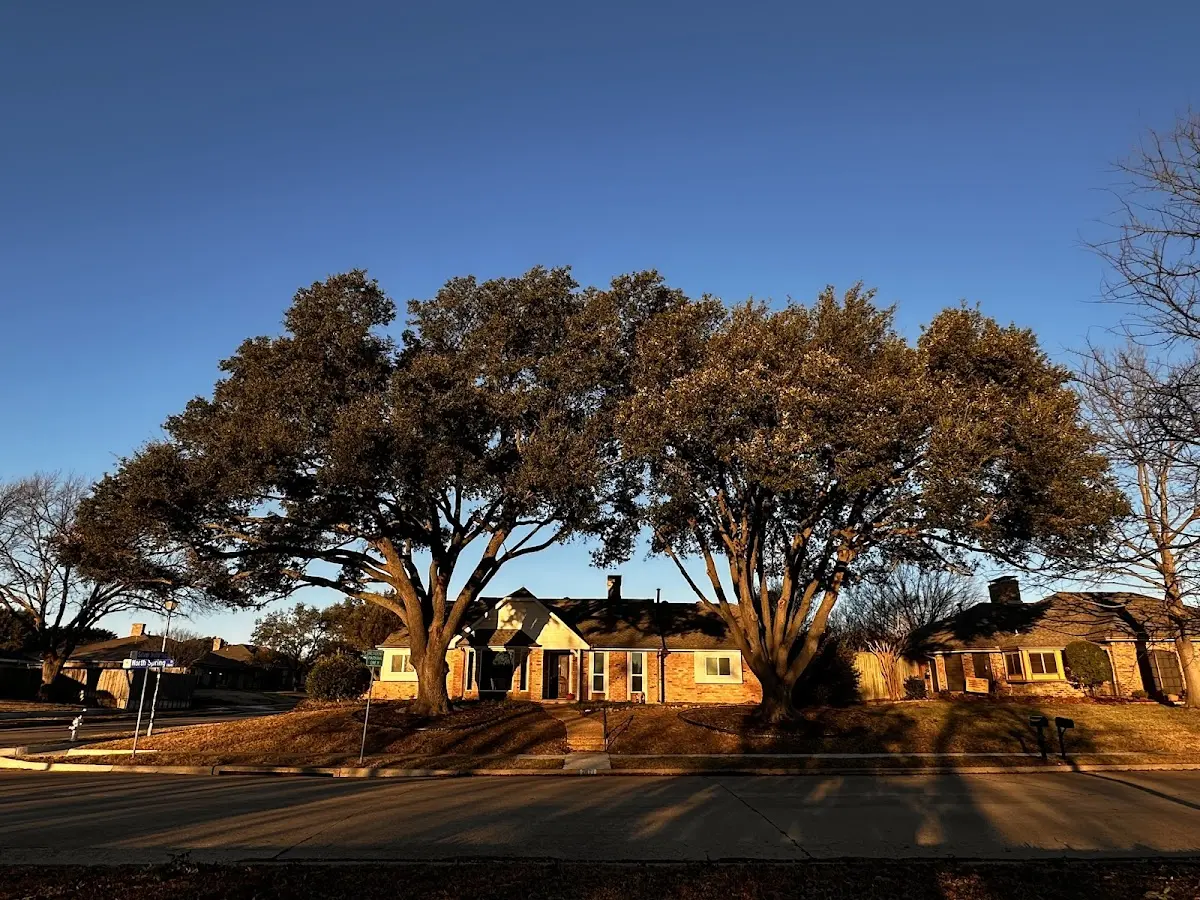 Established residential canopy tree shading a home in Green Sulphur Springs
